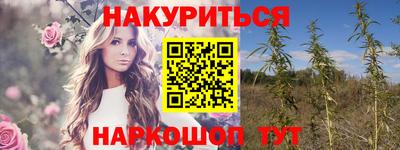 гашик Лесосибирск